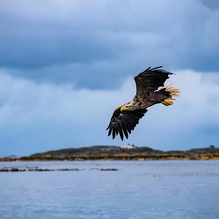 Atlanterhavsveien Rorbuer Tatil Evi Storsandoya
