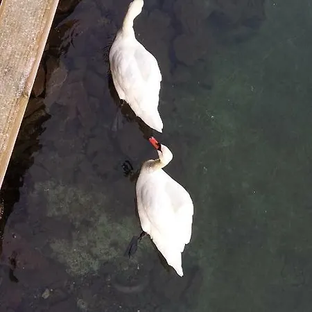 度假居 Atlanterhavsveien Rorbuer