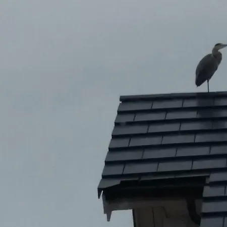 Atlanterhavsveien Rorbuer Tatil Evi Storsandoya