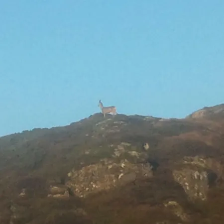 Tatil Evi Atlanterhavsveien Rorbuer